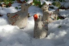IMG-20230312-WA0004
